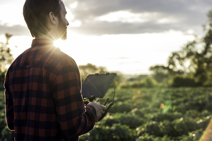 Man, Farmer or Pilot Using a Drone Remote Controller with a digital tablet at Sunset in a field.